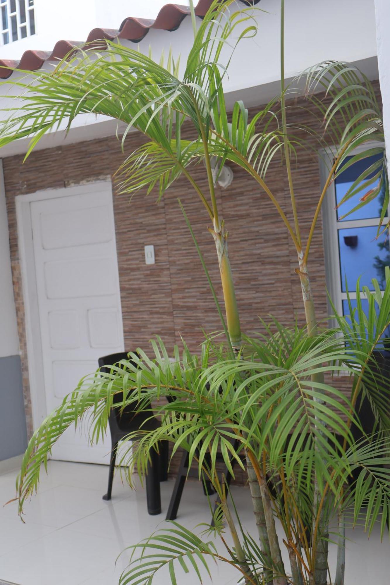 Ferienwohnung Casa #27-23 Cartagena  Exterior foto